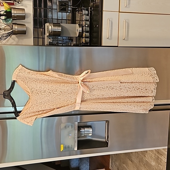 💕TAHARI by ASL💕 Glitter Lace Trim Metallic Ribbon Belted Dress Light Pink 18W - Picture 7 of 14